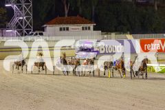 2025_PACEPIX_GP03062025_RACE4_Elwaddell_WIN_WEB-5