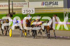 2025_PACEPIX_GP03062025_RACE4_Elwaddell_WIN_WEB-6