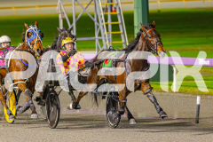 2025_PACEPIX_GP03062025_RACE4_Elwaddell_WIN_WEB-7