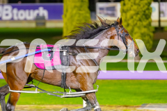 2026_Pacepix_GP28042026_RACE4_FabulousDream_WIN_WEB-10