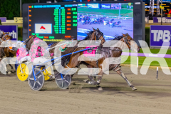 2026_Pacepix_GP28042026_RACE4_FabulousDream_WIN_WEB-6