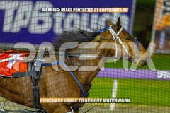 2026_PACEPIX_GP02102026_Race4_FakenIt_WIN_WEB-17