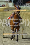 2026_PACEPIX_GP02102026_Race4_FakenIt_WIN_WEB-19