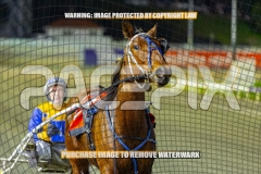 2026_PACEPIX_GP02102026_Race4_FakenIt_WIN_WEB-20