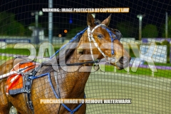 2026_PACEPIX_GP02102026_Race4_FakenIt_WIN_WEB-22