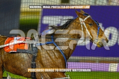 2026_PACEPIX_GP02102026_Race4_FakenIt_WIN_WEB-4