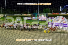2026_PACEPIX_GP02102026_Race4_FakenIt_WIN_WEB-9