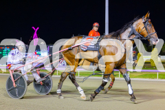2025_PACEPIX_GP23012026_Race4_FatLouie_WIN_WEB-19