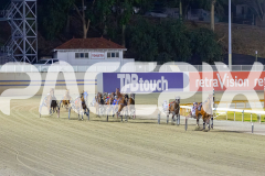 2025_PACEPIX_GP23012026_Race4_FatLouie_WIN_WEB-2
