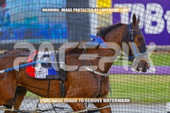 2026_PACEPIX_GP27102026_Race4_FlyingRumour_WIN_WEB-6