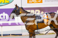 2026_PACEPIX_GP09012026_Race4_FrancoEncore_WIN_WEB-15