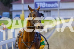 2026_PACEPIX_GP09012026_Race4_FrancoEncore_WIN_WEB-17