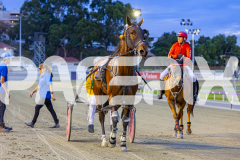 2026_PACEPIX_GP09012026_Race4_FrancoEncore_WIN_WEB-19