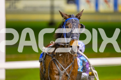 2025_PACEPIX_GP08072025_Race4_FrancoMotu_WIN_WEB-17