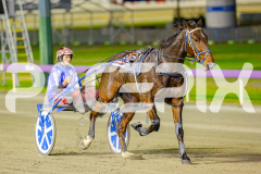 2025_PACEPIX_GP20052025_Race4_FrankieJHolden_WIN_WEB-15