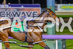 2026_PACEPIX_GP12052026_Race5_GentlemansPromise_WIN_WEB-3