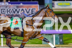 2026_PACEPIX_GP12052026_Race5_GentlemansPromise_WIN_WEB-6