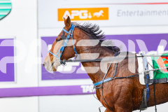 2025_PACEPIX_GP28072025_RACE4_GetTheBooth_WIN_WEB-11