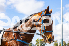 2025_PACEPIX_GP28072025_RACE4_GetTheBooth_WIN_WEB-15