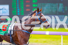 2025_PACEPIX_GP28072025_RACE4_GetTheBooth_WIN_WEB-8