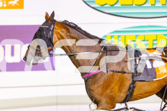 2025_PACEPIX_GP21112025_RACE4_GoldenLode_WIN_WEB-10