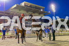 2025_PACEPIX_GP21112025_RACE4_GoldenLode_WIN_WEB-13