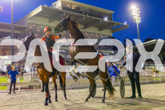 2025_PACEPIX_GP21112025_RACE4_GoldenLode_WIN_WEB-14