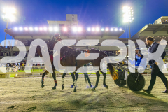 2025_PACEPIX_GP21112025_RACE4_GoldenLode_WIN_WEB-15