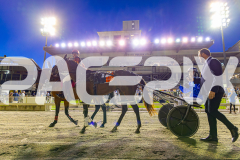 2025_PACEPIX_GP21112025_RACE4_GoldenLode_WIN_WEB-16