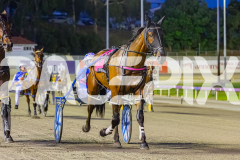 2025_PACEPIX_GP21112025_RACE4_GoldenLode_WIN_WEB-2