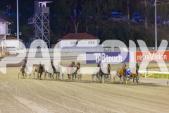2025_PACEPIX_GP21112025_RACE4_GoldenLode_WIN_WEB-3