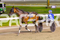 2025_PACEPIX_GP21112025_RACE4_GoldenLode_WIN_WEB-9