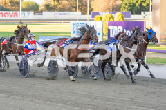 Goodtime-Louis_24-03-2026_WIN_Gloucester-Park_4__02