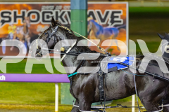 2026_PACEPIX_GP29052026_RACE4_HaleSaintLouie_WIN_WEB-16