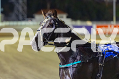 2026_PACEPIX_GP29052026_RACE4_HaleSaintLouie_WIN_WEB-17