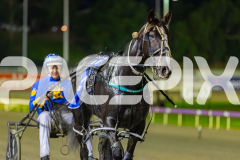 2026_PACEPIX_GP29052026_RACE4_HaleSaintLouie_WIN_WEB-21