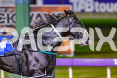 2026_PACEPIX_GP29052026_RACE4_HaleSaintLouie_WIN_WEB-4
