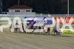 2026_PACEPIX_GP29052026_RACE4_HaleSaintLouie_WIN_WEB-8