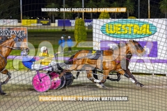 2026_Pacepix_GP23102026_Race4_HarrisonJohn_WIN_WEB-18