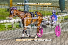 2026_Pacepix_GP23102026_Race4_HarrisonJohn_WIN_WEB-20