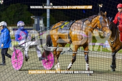 2026_Pacepix_GP23102026_Race4_HarrisonJohn_WIN_WEB-23