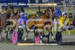 2026_Pacepix_GP23102026_Race4_HarrisonJohn_WIN_WEB-3
