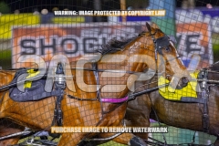 2026_Pacepix_GP23102026_Race4_HarrisonJohn_WIN_WEB-5