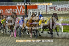 2026_Pacepix_GP23102026_Race4_HarrisonJohn_WIN_WEB-7