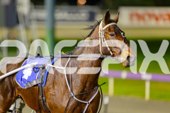 2025_PACEPIX_GP10062025_RACE4_HerPresence_WIN_WEB-14