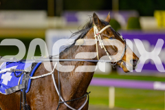 2025_PACEPIX_GP10062025_RACE4_HerPresence_WIN_WEB-15