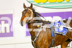 2025_PACEPIX_GP10062025_RACE4_HerPresence_WIN_WEB-18