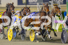 2025_PACEPIX_GP10062025_RACE4_HerPresence_WIN_WEB-2