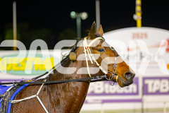 2025_PACEPIX_GP10062025_RACE4_HerPresence_WIN_WEB-20