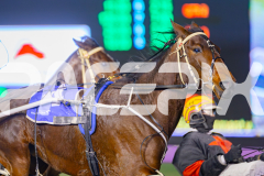 2025_PACEPIX_GP10062025_RACE4_HerPresence_WIN_WEB-4